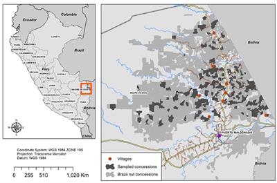 Does REDD+ Complement Law Enforcement? Evaluating Impacts of an Incipient Initiative in <mark class="highlighted">Madre</mark> de Dios, Peru